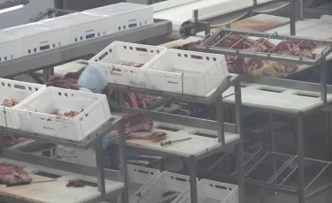 Қазақстан былтыр 7 млрд доллардың ауылшаруашылық өнімін экспорттаған