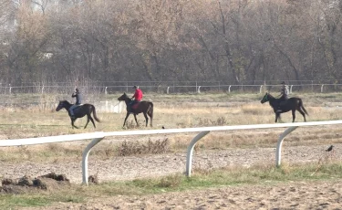 Символы степной свободы: как лошади и тазы сохраняют статус главных сокровищ нации