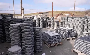 Жалған сертификат: Түркістан облысында заңсыз сауданың жолы кесілді