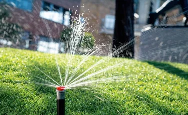 В Медеуском районе Алматы увеличивают объемы озеленения и развивают систему автополива