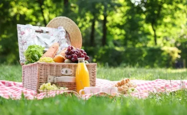 Майские праздники: как организовать идеальный пикник на природе
