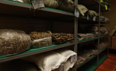 Мнение солдата – главный критерий: в армии вводят новую систему отбора формы и экипировки