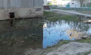 Сырость, вонь и насекомые: жители Атырау жалуются на коммунальные проблемы микрорайона