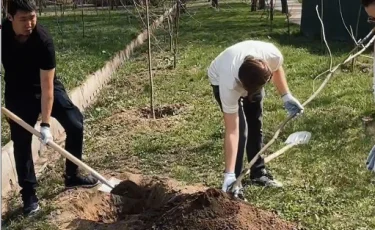 «Таза қала»: алматинцы вышли на масштабную уборку города