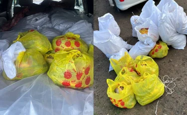 Заңсыз балық тасымалы: БҚО-да 400 келіге жуық балық тәркіленді