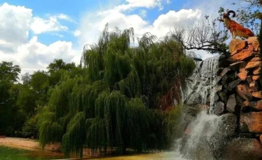 Погода в Алматы с 4 по 10 мая 2026