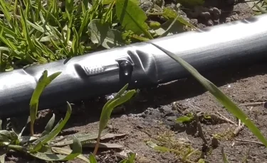 От субсидий до ветеринарии: как ИИ изменит жизнь казахстанских фермеров в 2026 году