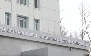 Удар стихии: две жительницы Павлодарской области получили травмы во время урагана