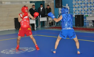 В Алматы стартовал чемпионат Казахстана по ушу-саньда