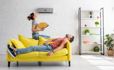 Как очистить воздух в квартире без фильтров