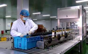 Зерновой поток ускоряется: Алашанькоу начал год с рекордного роста