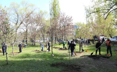 «Таза Қазақстан»: в Алматы в 2026 году высадят более 550 тыс. зеленых насаждений