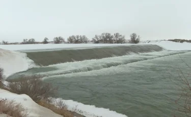Президент: Арал мәселесі салғырттықтың қандай қасіретке әкеліп соғатынын еске салып тұрады