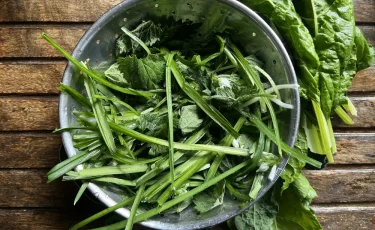 Первая зелень на столе: что готовить из черемши и крапивы