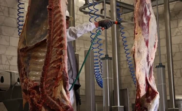 Чиновники и аграрии получили реальные сроки по делу о «мясной ОПГ»