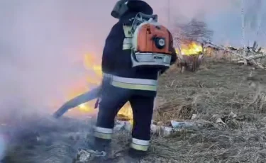 СҚО-да орманға таралған өрт сөндірілді