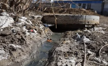 Зловоние и смрад: в центре Павлодара жители восемь лет задыхаются от канализационных стоков