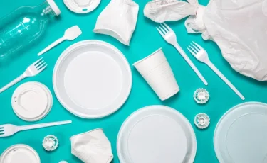 В Грузии запретили продавать пластиковую посуду