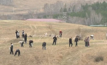 Бег ради чистоты: в Кокшетау набирает популярность новый формат экоактивизма