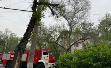 Алматыда көпқабатты үйден шыққан өрт сөндіріліп жатыр
