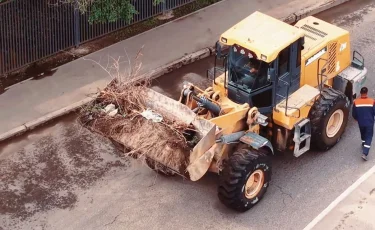 Работники предприятий участвуют в весенней уборке и озеленении Алматы