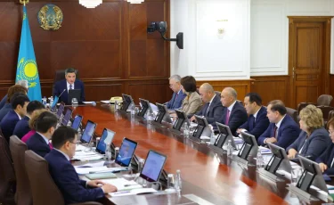 Фармацевтика және медицина өнеркәсібін дамыту: Үкіметте жиын өтті