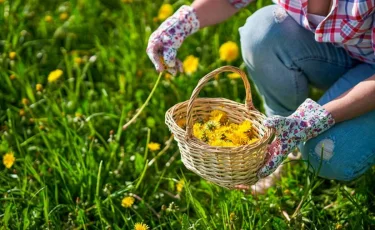 Көктемде иммунитетті қалай күшейтуге болады - мамандар кеңесі