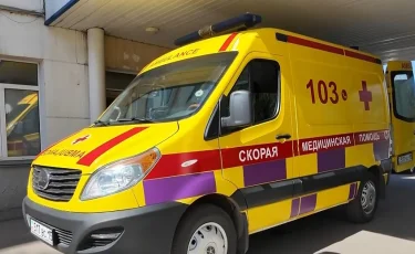 Неожиданная агрессия: в СКО женщина лишилась пальца после укуса лошади