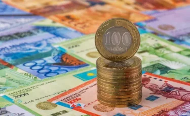 Қазақстанда 167 мың адамға АӘК тағайындалды: қанша қаржы бөлінді
