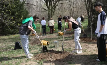 Алматыда Журналистер аллеясы пайда болды