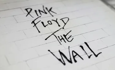 Сюрприз для музыкантов: ученые назвали новый вид пауков в честь группы Pink Floyd