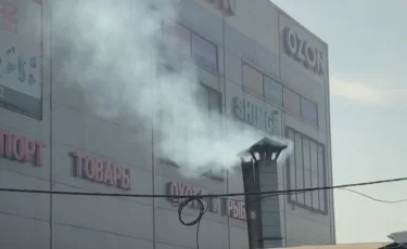Алматыдағы зиянды шығарындылардың шамамен 60%-ы автокөліктен келеді
