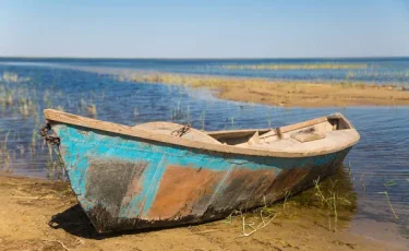 Касым-Жомарт Токаев отметил прогресс в спасении Аральского моря