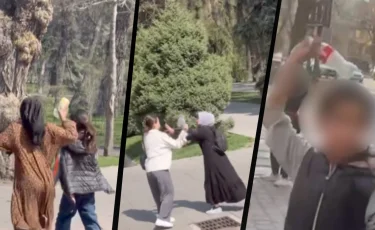 Алматы саябақтарында бұзақылық жасаған жасөспірімдер елден шығарылуы мүмкін