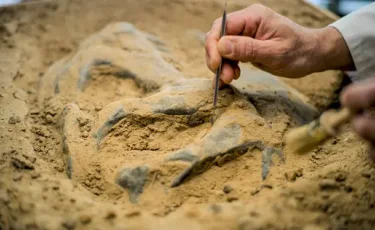 Следы древней цивилизации: в Мангистау исследуют памятники каменного века