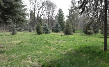 Алматыдағы ботаникалық бақ жазғы жұмыс режиміне өтті