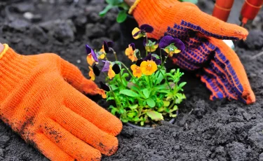 Дачный сезон в Казахстане: с чего начать весенние работы