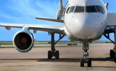 Более 100 пассажиров самолета оказались в заложниках у пчелы