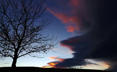 Что такое бесқонақ и почему его ждут каждую весну