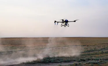 Шегірткеге қарсы күрес: 100-ден астам дрон іске қосылады