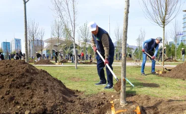 Сотрудники Аппарата Правительства вышли на субботник в рамках «Таза Қазақстан»