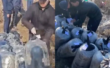 Павлодар облысында ірі есірткі тарату арнасы жойылды