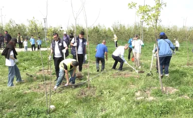 В Алматы продолжаются масштабные экомероприятия в рамках экоакции «Таза Казахстан»