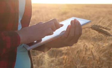 Ауыл шаруашылығының цифрлық дәуірі: жасанды интеллект суды үнемдеп, өнімділікті арттырады