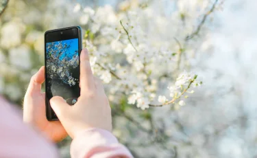 Первое свидание с природой: как фотографировать весну на смартфон