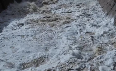 Ауғанстанда су тасқыны болып, 77 адам қаза тапты