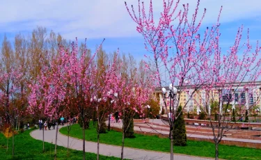 Погода в Алматы с 27 апреля по 3 мая 2026