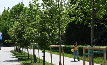 В Алматы начинается четырехэтапная биологическая обработка зеленого фонда