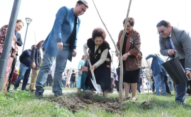 В Алматы запустили «Тамырлас»: педагоги и молодежь высадили «Аллею наставничества»