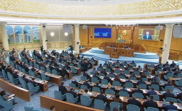 Қазақстан Халық кеңесі қоғамдық диалог пен халық бірлігінің құралына айналады